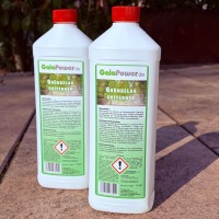 Set: 2 Flaschen Grünbelag-Entferner, je 1 Liter